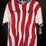 USA SOCCER USMNT 1994-1995 ORIGINAL JERSEY Size L