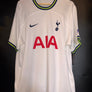 TOTTENHAM HOTSPURS KANE 2022-2023 ORIGINAL JERSEY Size 2XL