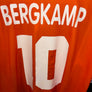 NETHERLANDS BERGKAMP 1996-1997 ORIGINAL JERSEY Size L