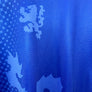 GLASGOW RANGERS 2002-2003 ORIGINAL JERSEY Size XL