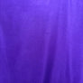 FIORENTINA 2007-2008 ORIGINAL JERSEY Size L