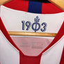 ATLETICO MADRID 2019-2020 ORIGINAL JERSEY Size S