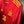 SPAIN PEDRI 2020-2021 ORIGINAL JERSEY Size L