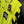 BORUSSIA DORTMUND SPECIAL 2024-2025 ORIGINAL JERSEY SIZE M