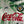 TOKYO VERDY 1993-1994 ORIGINAL JERSEY SIZE L