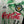 TOKYO VERDY 1993-1994 ORIGINAL JERSEY SIZE L