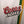 CELTIC CAMARA 2006-2007 ORIGINAL JERSEY Size L