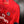 PSG PARIS SAINT GERMAIN BECKHAM 2012-2013 ORIGINAL JERSEY SIZE XL