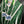 PALMEIRAS 1996-1997 ORIGINAL JERSEY SIZE XL