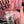 PALERMO 2023-2024 ORIGINAL JERSEY Size XL