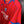 PSG PARIS SAINT GERMAIN MENDES 2025-2026 ORIGINAL JERSEY SIZE 2XL