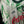 TOKYO VERDY 1993-1994 ORIGINAL JERSEY SIZE L