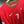 PORTUGAL RONALDO 2012-2013 ORIGINAL JERSEY Size XL