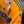 TIGRES 2022-2023 ORIGINAL JERSEY Size L