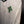 CELTIC 2012-2013 ORIGINAL JERSEY Size XL