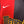 NEW YORK CITY METRO STARS 2000-2001 ORIGINAL JERSEY Size S
