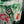 TOKYO VERDY 1993-1994 ORIGINAL JERSEY SIZE L