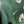 CLUB AMERICA 2016-2017 ORIGINAL PLAYER JERSEY Size M