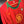 PORTUGAL RUI COSTA 2004-2005 ORIGINAL JERSEY Size L
