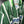 PALMEIRAS 1996-1997 ORIGINAL JERSEY SIZE XL
