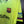 BARCELONA MESSI 2018-2019 ORIGINAL JERSEY Size L