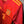 SPAIN PEDRI 2020-2021 ORIGINAL JERSEY Size M