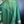PALMEIRAS 1999-2000 ORIGINAL JERSEY Size L