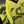 BORUSSIA DORTMUND 1992-1993 ORIGINAL JERSEY SIZE L