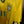 BRAZIL ROMARIO 1994-1995 ORIGINAL JERSEY SIZE L