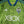 SEATTLE SOUNDERS 2017-2018 ORIGINAL JERSEY Size M