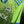 SEATTLE SOUNDERS 2017-2018 ORIGINAL JERSEY Size M
