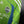 SEATTLE SOUNDERS 2009-2010 ORIGINAL JERSEY Size M