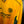 CELTIC LARSSON 2002-2003 ORIGINAL JERSEY SIZE S